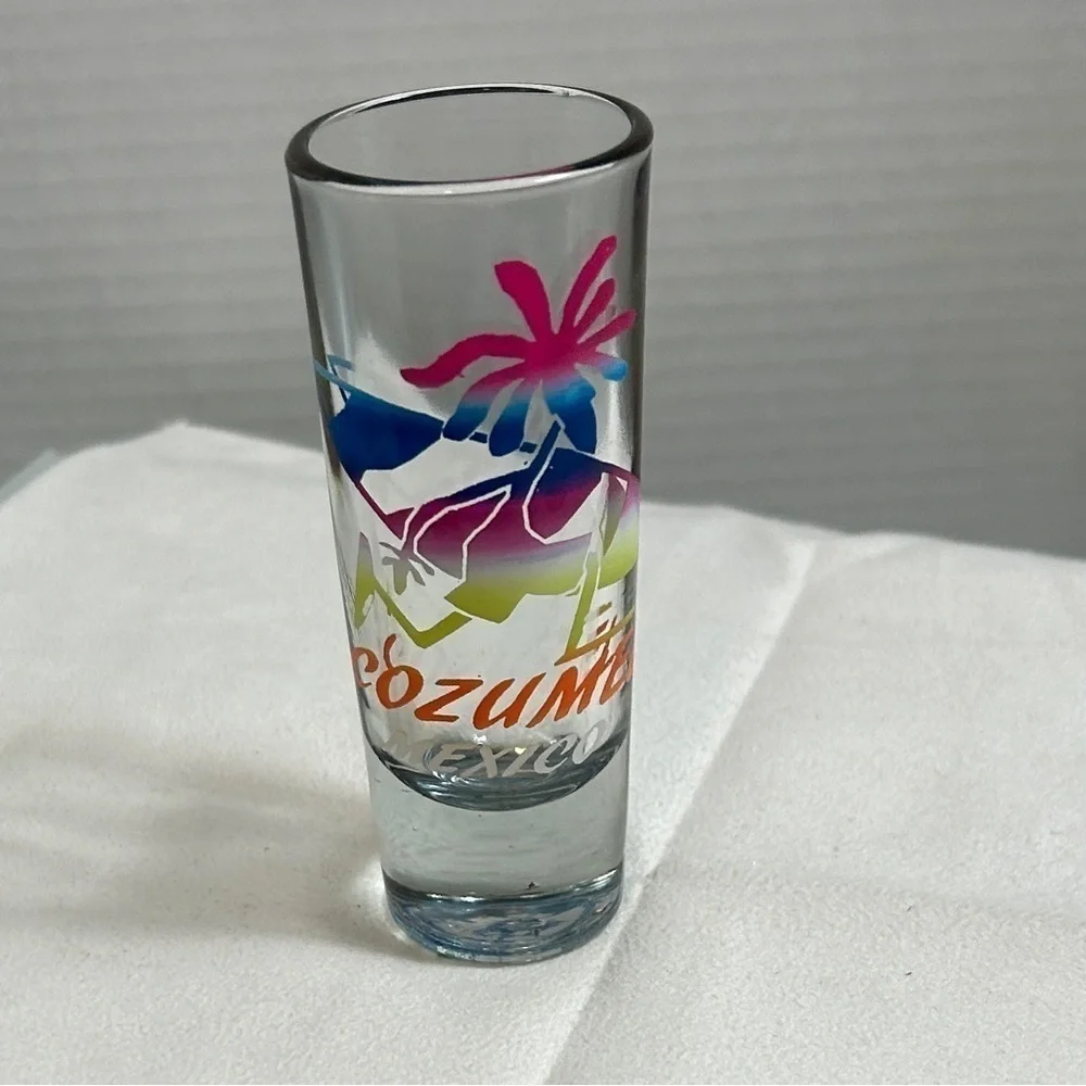 Shot Glass Lot of 4 Cozumel & Maui 4”H